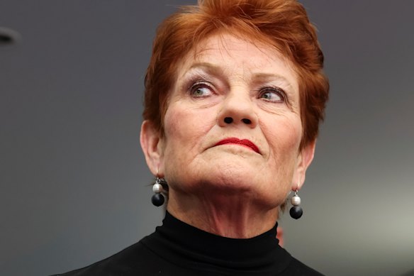 One Nation leader Pauline Hanson is not the cause of a slump in support for main parties, but the reckoning.