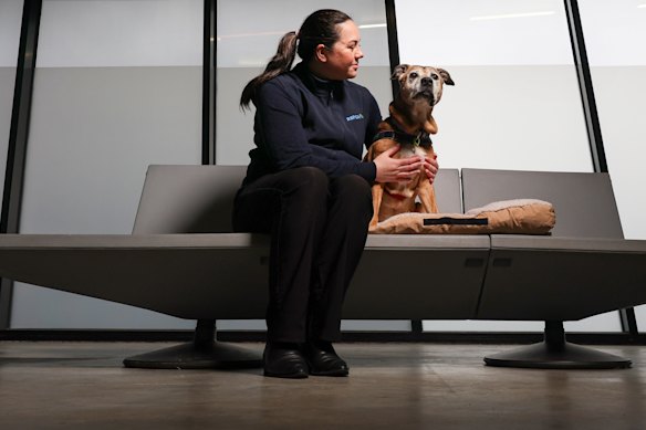 Roberts, pictured with Daisy, wants to ensure all pets at risk of harm due to family violence have safe emergency places to stay.