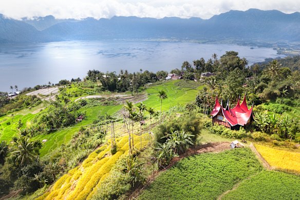 Rice fields and a traditional spired roof house in the Maninjau Lake area,  west Sumatra.