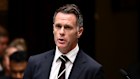 NSW Premier Chris Minns in parliament this week.