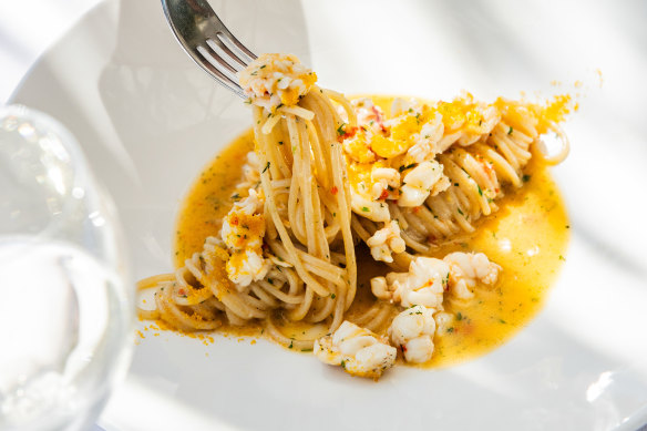 Otto’s champagne lobster pasta.