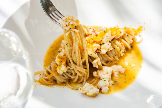Otto’s champagne lobster pasta.