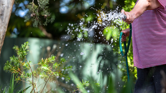 Upcoming level two water restrictions in Sydney will mean hosing the garden is not permitted.