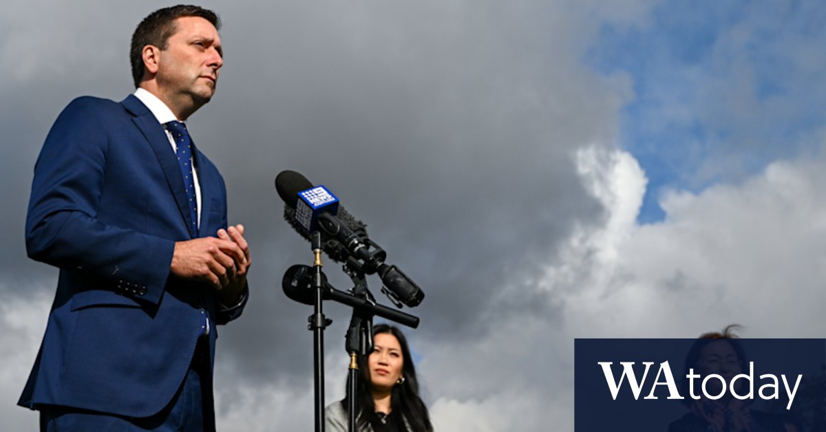 'Work is required': can Matthew Guy turn things around by November? - Vimarsana News