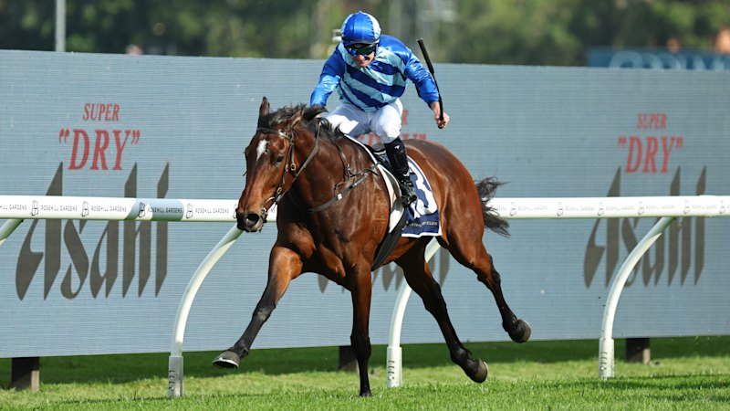 Jones keen to repay faith on Vivy Air after Doncaster disappointment