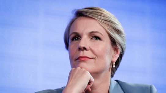 Tanya Plibersek said she could not reconcile her family commitments with the prospect of leading Labor.