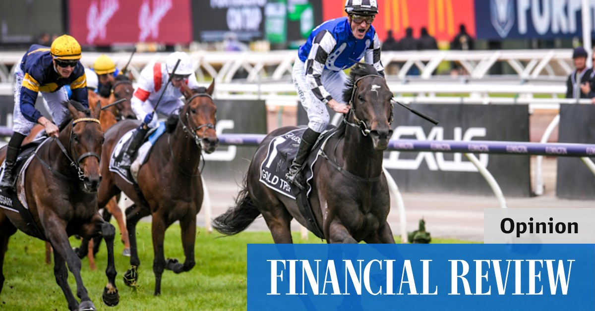 Melbourne Cup 2023 tips: Macquarie's AI-assisted bets offer a smart lesson for investors - Vimarsana News