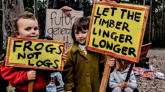 'A disaster': Forest deals reignite tension between loggers and conservationists