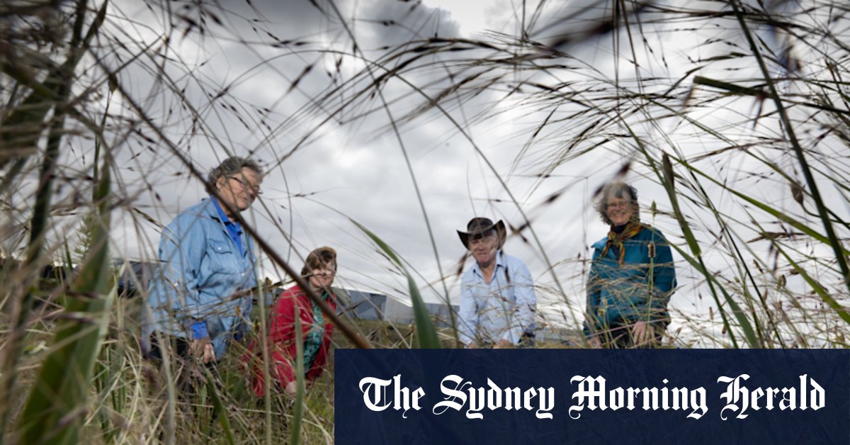 Huge park in Melbourne's north to be returned to traditional owners - Vimarsana News