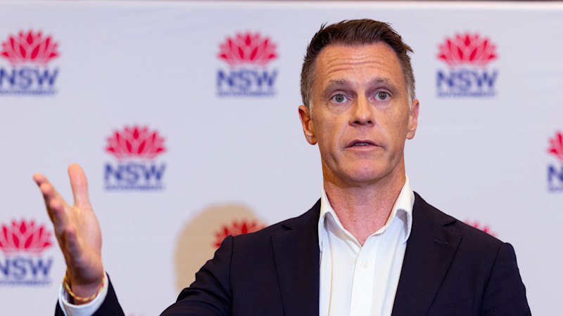 The police brothel probe demands a watchdog with real teeth