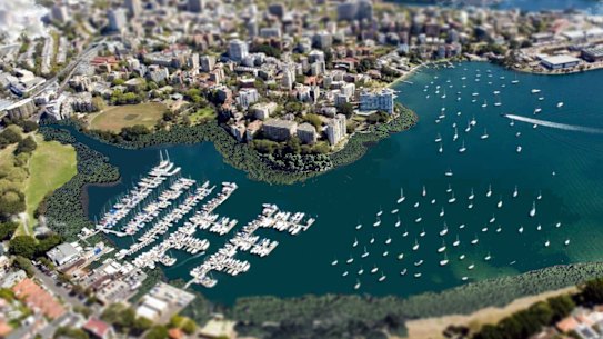 An impression provided by Colin Finn of what a re-wilded Rushcutters Bay might look like - with mangroves, oyster reefs and a naturalised canal.