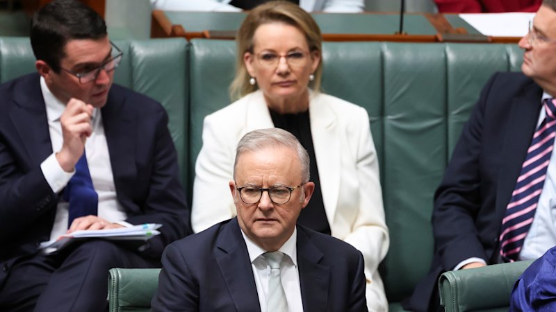 Nationals split from Liberals on hate speech laws after Ley rebukes leaders