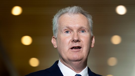 Workplace Relations Minister Tony Burke says an annual increase in wages of almost $1 billion for some workers wouldn’t threaten the economy.