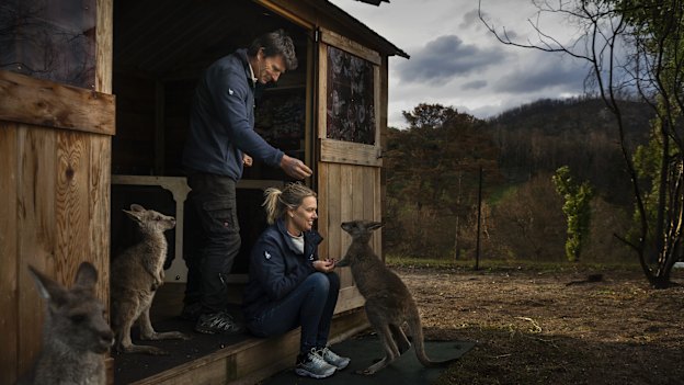 Gary Henderson and Sara Tilling with a few of their rescue animals.
