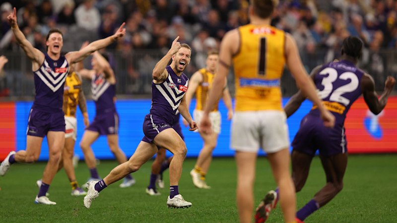 Switkowski swoops as Dockers over-run Hawks in Perth