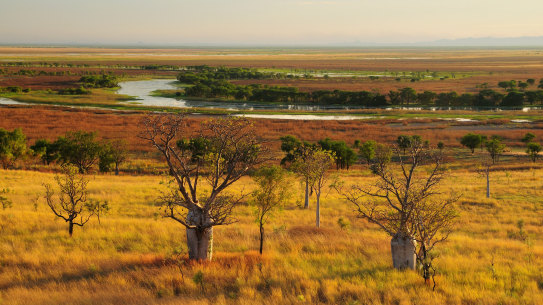More must be done to help young people in the Kimberley.
