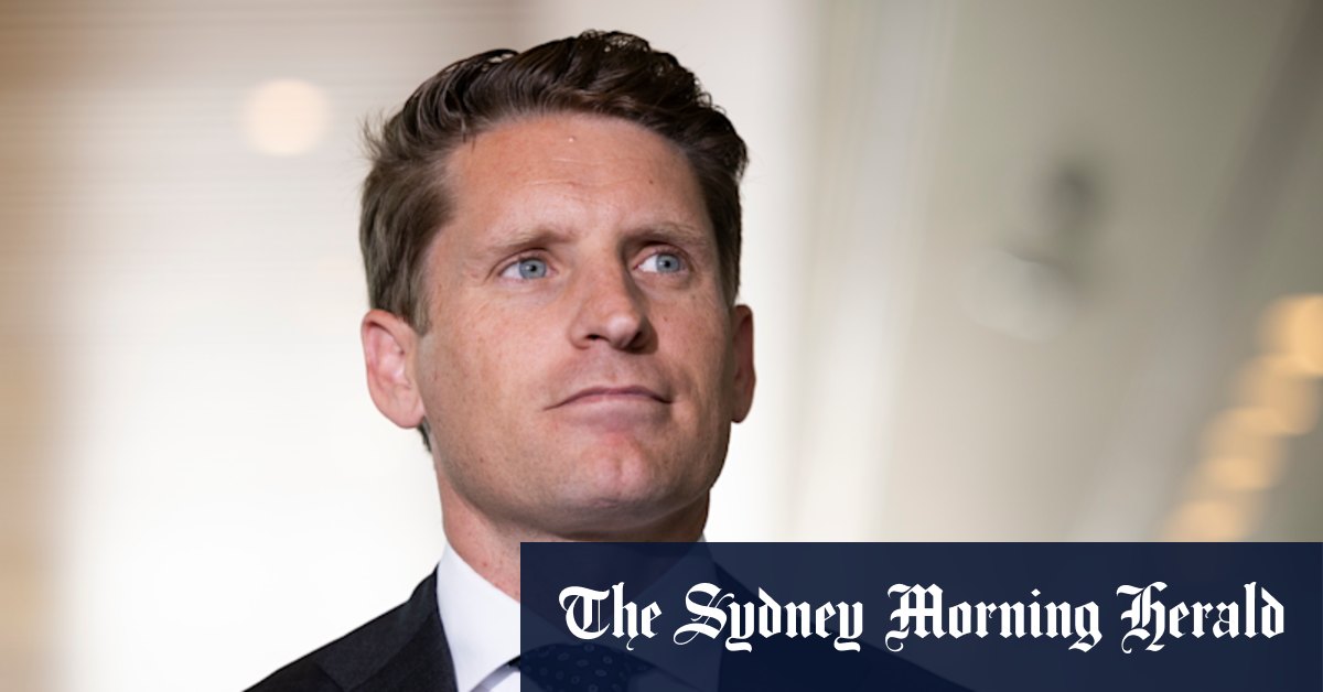 Shadow minister quits frontbench over immigration policy disagreement