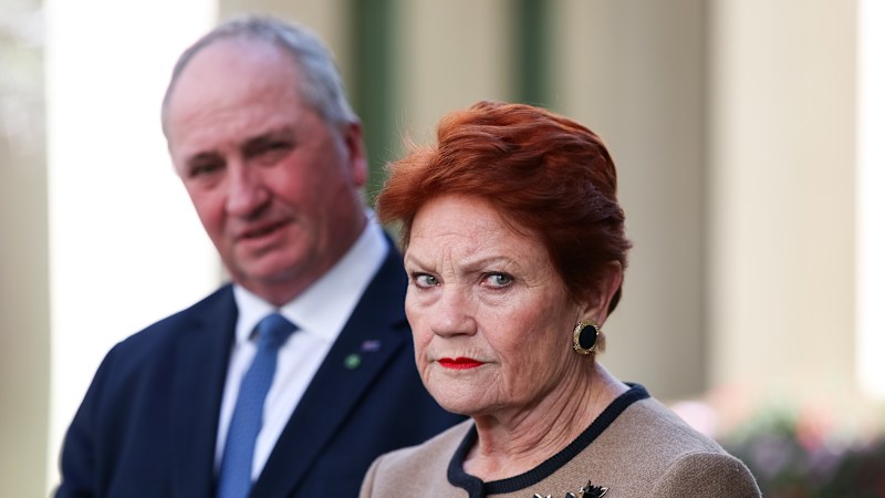 One Nation opens the door to foreign investors