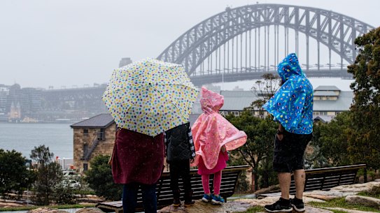 Sydney has just posted its wettest year since 1998 and the outlook isn't looking much brighter for a while at least.
