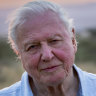 David Attenborough criticises Australian government, says 'moment of crisis' has come