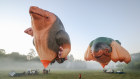 Skywhalepappa and Skywhale.