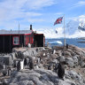 World’s most remote post office is hiring, penguin counting required