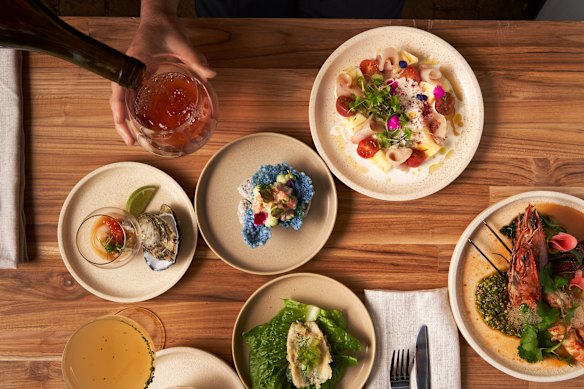 Blue ocean cracker and kingfish carpaccio sashimi salad. 