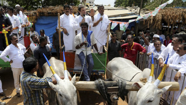 India's Congress party president Rahul Gandhi, centre, addresses a crowd from a bullock cart in Malur, 45 kilometers  from Bangalore.