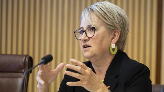 The senate backed Senator Barbara Pocock’s order for the tax office and federal police to produce all correspondence related to their failure to launch a criminal investigation into the PwC tax scandal in 2018. 