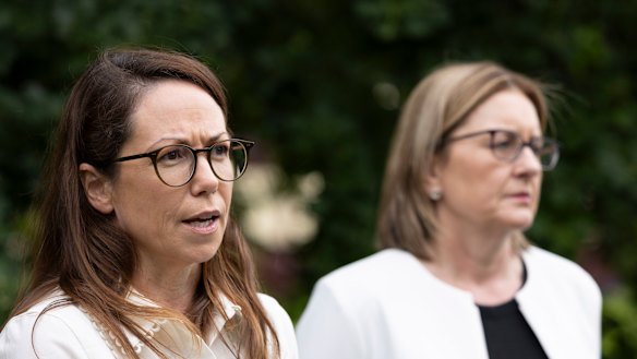 Os defensores da saúde pública instaram a Tesoureira Jaclyn Symes e a Primeira-Ministra Jacinta Allan a manterem a VicHealth como uma organização independente.