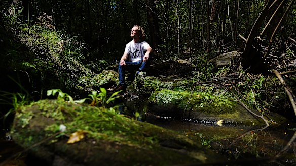 Greg Taylor is on track to be elected to Ku-ring-gai Council after campaigning on environmental issues.