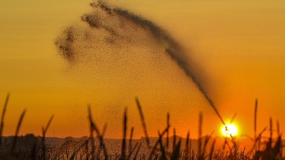 Rising temperatures and increase evaporation will affect crops and other food supplies, undermining food security, the IPCC said.