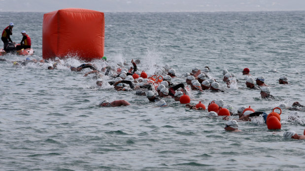 Competitors swimming in the 2019 Lorne Pier to Pub on Saturday.