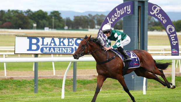 Racing returns to Hawkesbury on Thursday.