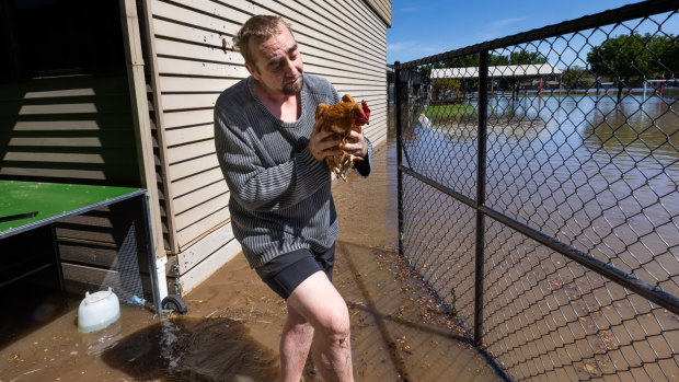 Robert Salter rescues a chicken from floodwater near his home in Shepparton South.