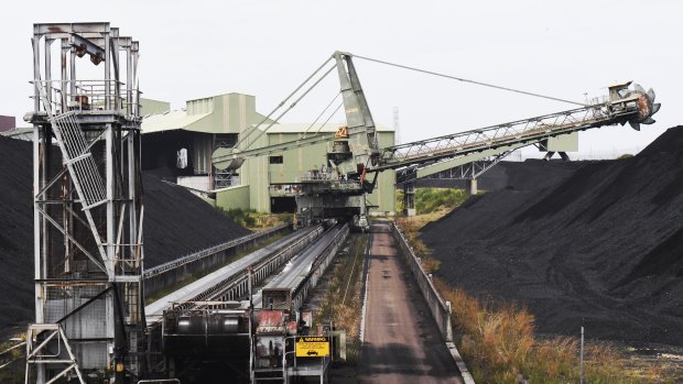 Eraring has stockpiled more than two months worth of coal to keep the power flowing ahead of a hotter than average summer.