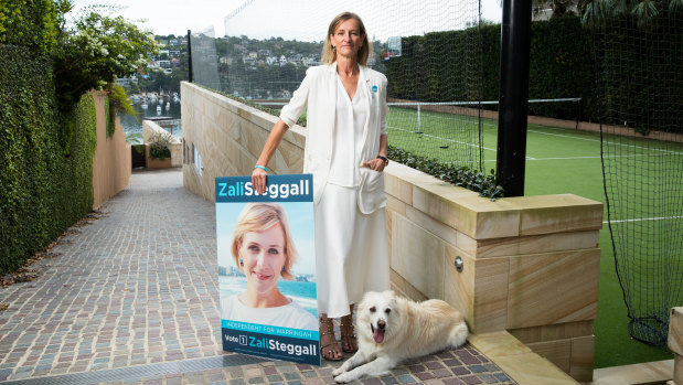 Zali Steggall supporter Anna Josephson with her dog, Tass, at her Beauty Point home in the seat of Warringah.
