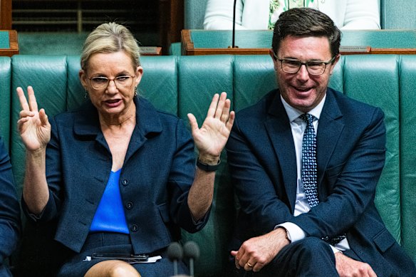 Sussan Ley and David Littleproud in question time in February.