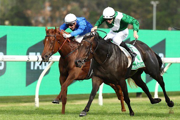 Tabcorp is using its physical presence to take share from its mobile-based wagering competitors like Sportsbet. 