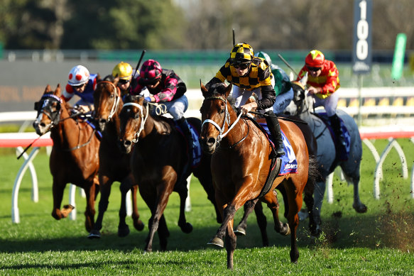 Joliestar and James McDonald winning the Show County Quality at Randwick last August.