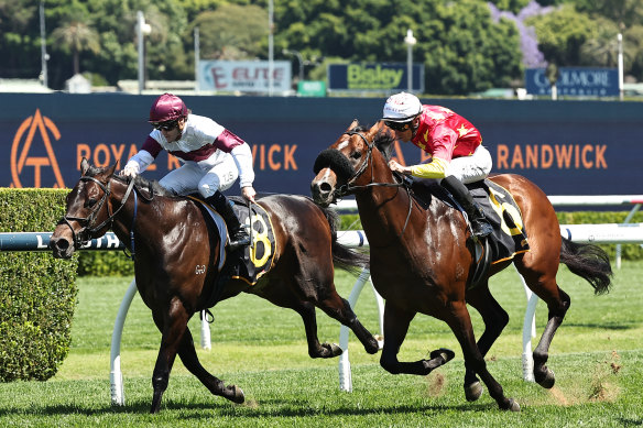 Amazing Eagle, left, winning the Brian Crowley Stakes at Randwick on October 26.