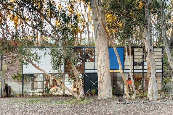 Eames House, framed by the trees.