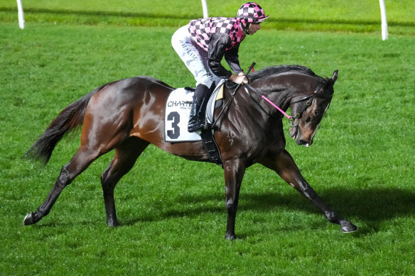 Rothfire, ridden by Damian Lane, on the way to the barriers for the Moir Stakes.