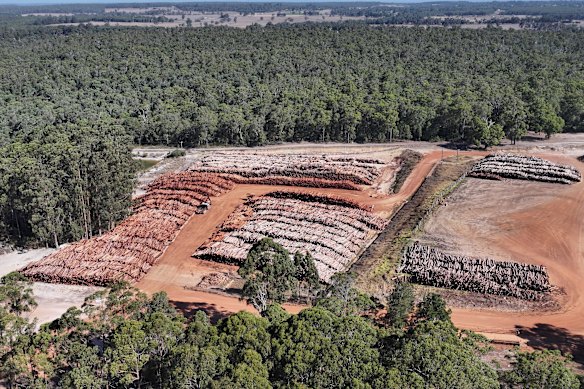 One of three ecological thinning stockpiles in WA’s South West.