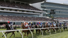 Crowds at Flemington for the 2019 Melbourne Cup race.