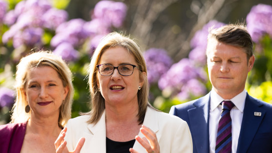 Jacinta Allans speaks to the media after becoming Victoria’s 49th premier. 