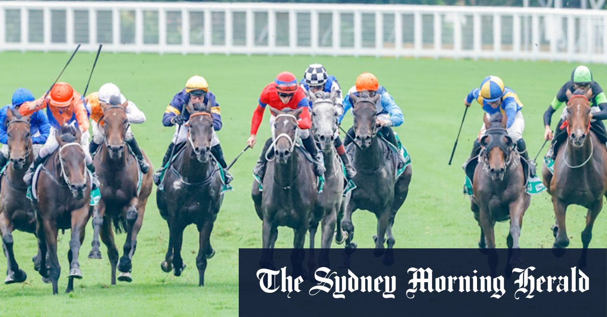 Email blunder exposes financial status of high-profile trainers