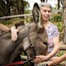 Angela and Lawrence Spiteri hung out with donkeys at Macclesfield on Sunday as a gift from their daughter.