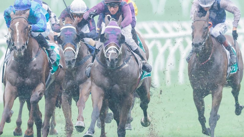 Race-by-race preview and tips for Goulburn on Monday