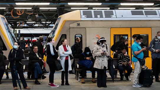 Train services will be cut during peak periods on a number of Sydney rail lines.